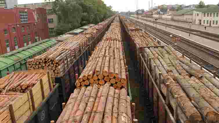 Україна стала лідером з незаконного постачання деревини до Європи