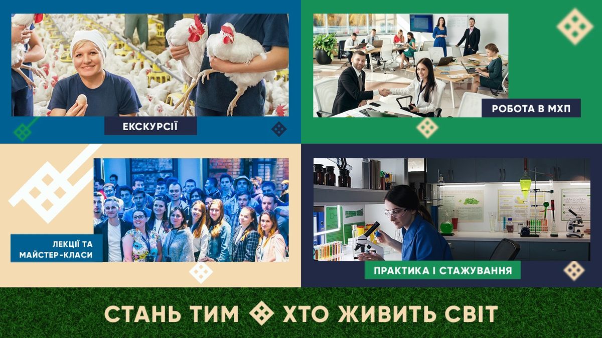 Повнофункціональний сайт «МХП Старт»: онлайн-путівник до успішної кар’єри