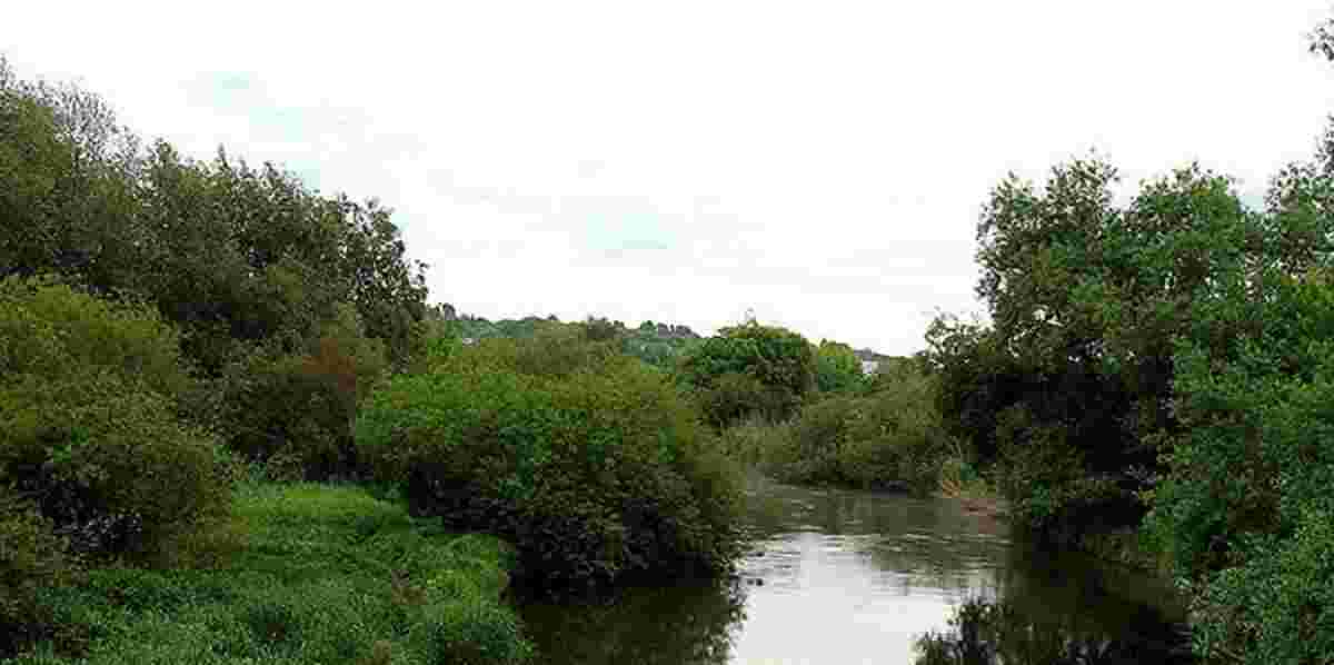 Тіло виявили у річці Серет