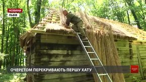 У музеї «Шевченківський гай» вперше стріху хати перекривають очеретом