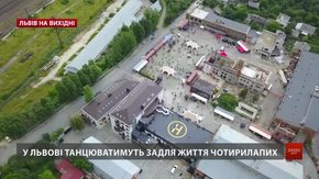 Культурні події на вихідних у Львові
