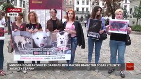 Кілька десятків львів'ян приєдналися до акції «Україна — не живодерня!»