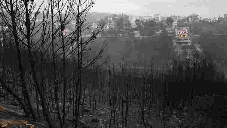Влада Греції озвучила ймовірну причину масштабних лісових пожеж