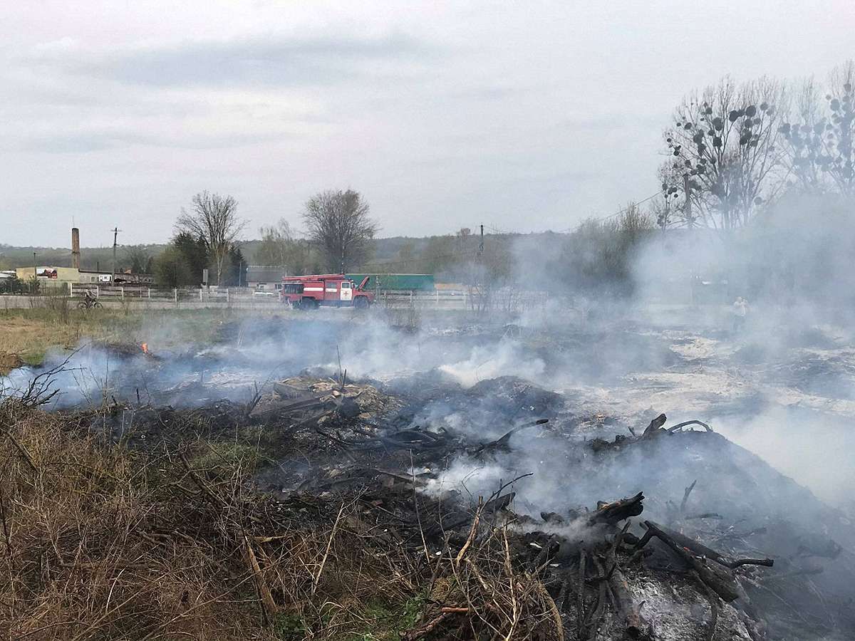 Екологи оцінили шкоду від лісової пожежі на Львівщині майже у ₴4 млн