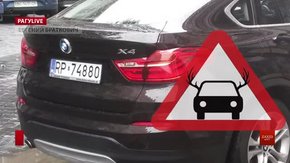 РАГУlive. Випуск за 31 липня