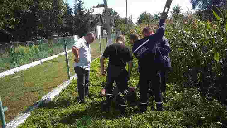 Рятувальники витягнули собаку, що впав у криницю на Жидачівщині