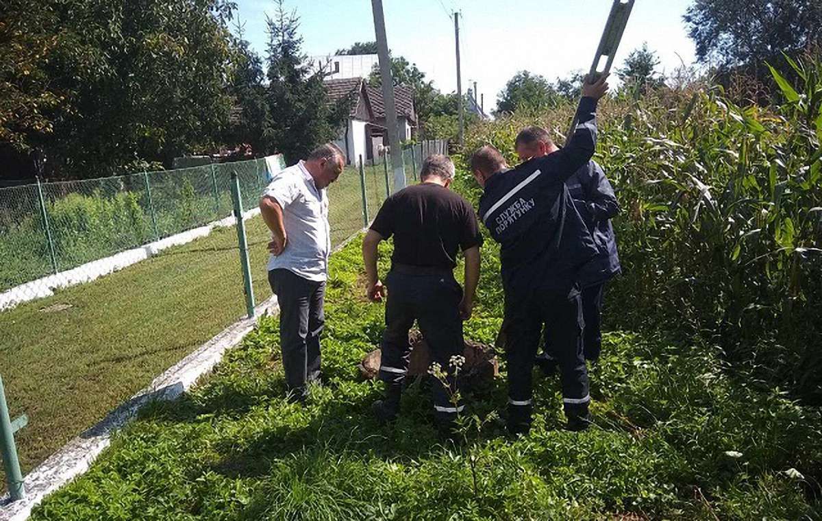 Рятувальники витягнули собаку, що впав у криницю на Жидачівщині