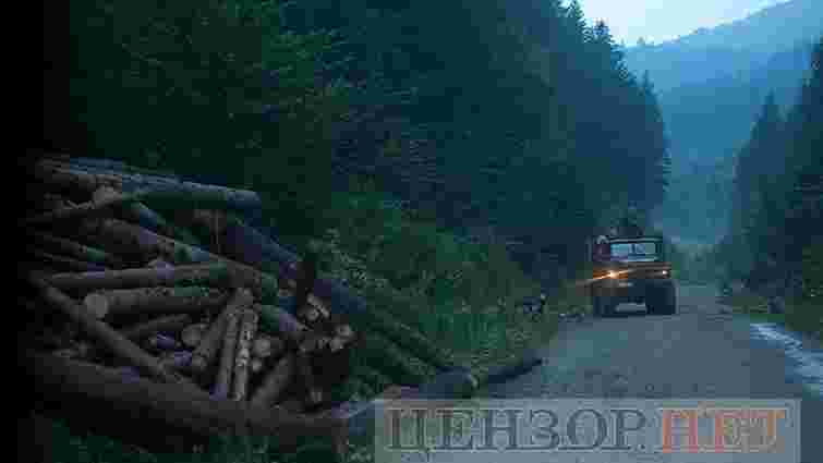«Цензор.нет» опублікував фото вирубки лісу-кругляка поблизу Східниці