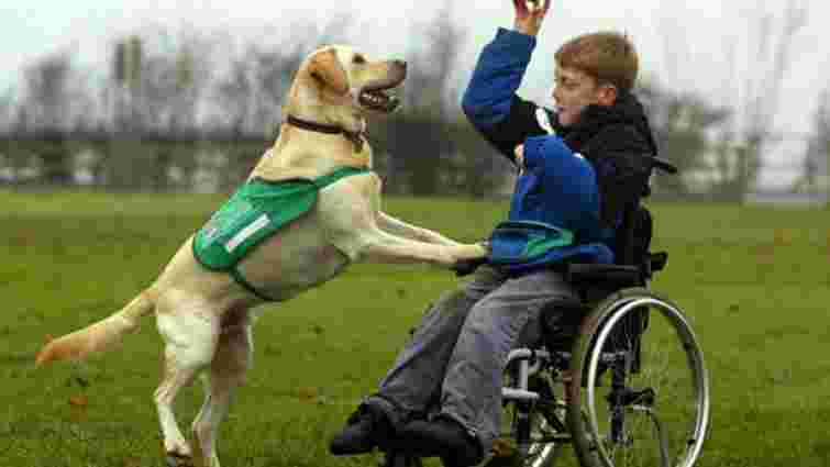 ЛКП «Лев» виховуватиме собак-терапевтів для реабілітації людей з інвалідністю
