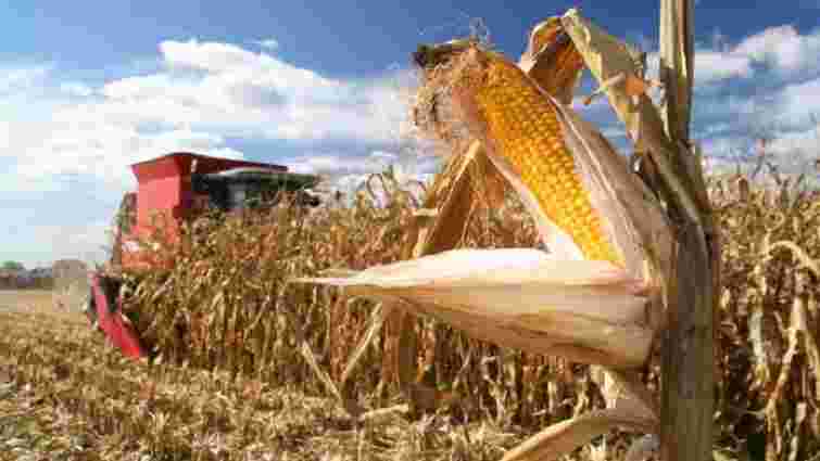 Україна очікує на рекордний врожай кукурудзи, а також збільшення продажів у Китай