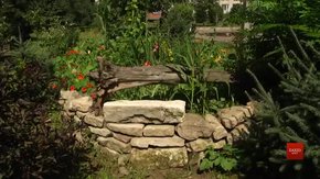 У Львові обрали переможців конкурсу на найгарніший дворик