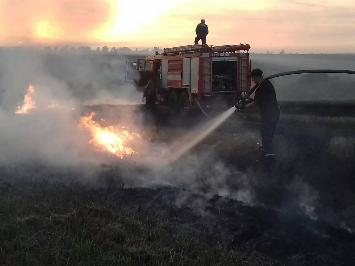 У Пустомитівському районі вигоріло 2 гектари стерні