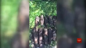 На Львівщині поблизу житлового будинку знайшли 14 артснарядів 