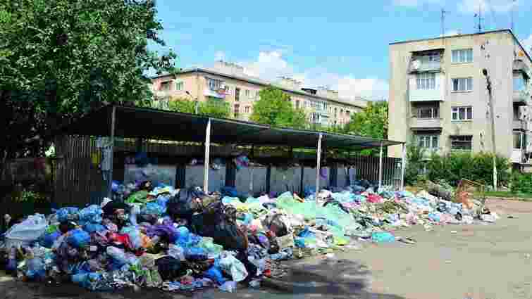 Через сміттєву кризу Дрогобицька міськрада просить оголосити місто зоною екологічного лиха
