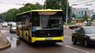 Львівська мерія оголосила конкурс для автобусних перевізників