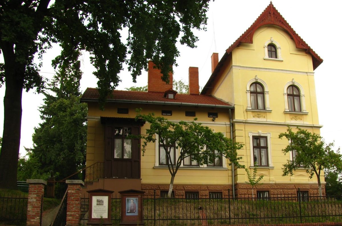 Дім Франка у Львові шукає меценатів для встановлення гойдалки на подвір’ї письменника