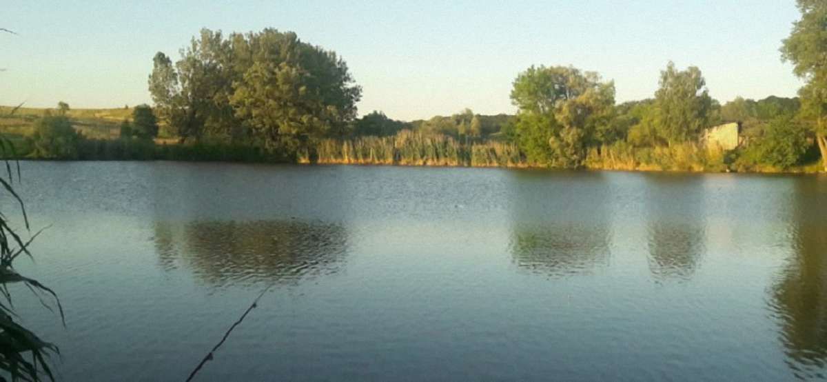На Львівщині шукають чоловіка, який міг втопитися у водоймі в Кам'янка-Бузькому районі 
