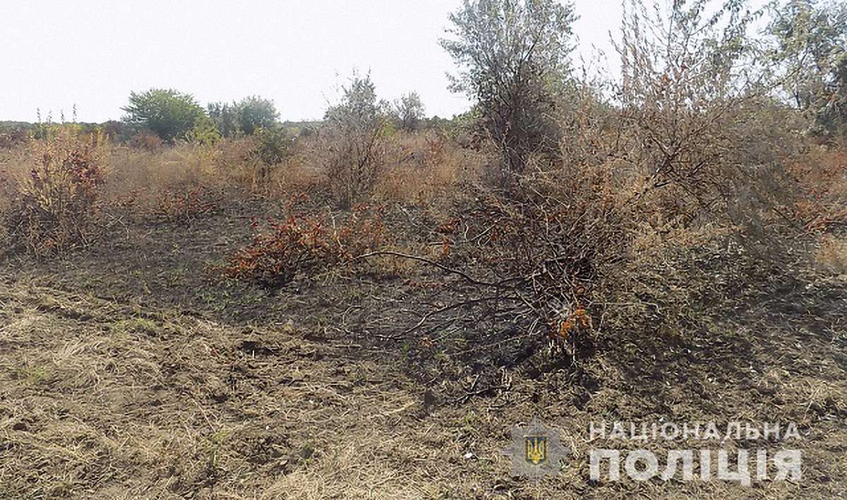 Поліція не побачила слідів підпалу виноградників французького винороба на Одещині