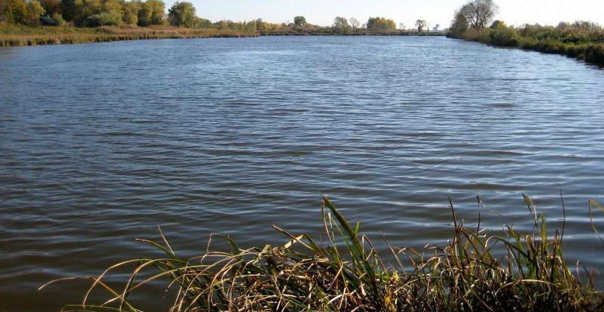 У ставку в Дрогобичі втопився 66-річний чоловік