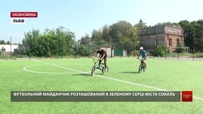 У Сокалі діти зібрали гроші на створення скейт-парку