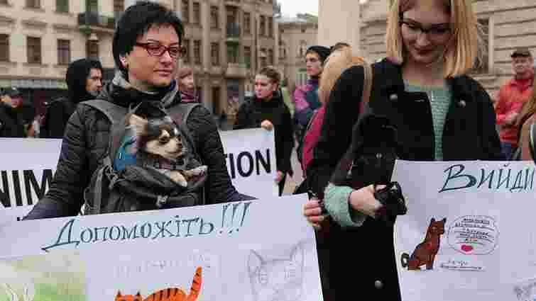 У Львові відбудеться марш за права тварин 
