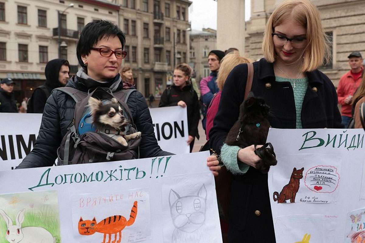 У Львові відбудеться марш за права тварин 