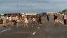 Молодь танцює народні танці на дорозі перед українсько-польським кордоном. Відео дня