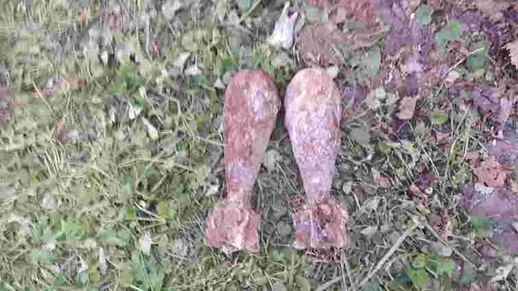 У Кам’янці-Бузькій піротехніки знищили 47 мінометних мін, які виявили під час земляних робіт
