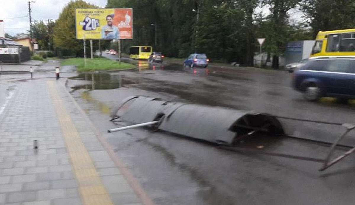 Штормовий вітер повалив кілька дерев у Львові та пошкодив конструкції на двох зупинках