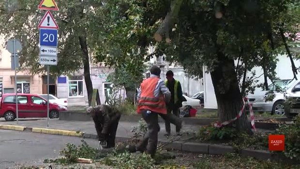 До ліквідації наслідків негоди у Львові залучили понад 1200 комунальників