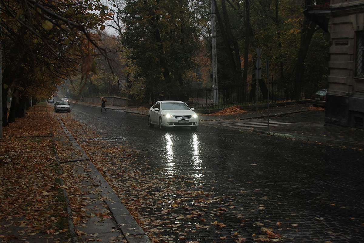 Синоптики прогнозують перші приморозки на Львівщині