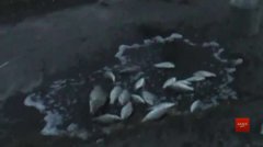 Депутат Львівської облради спіймав на браконьєрстві двох поліцейських