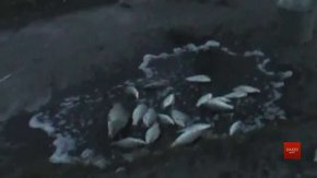 Депутат Львівської облради спіймав на браконьєрстві двох поліцейських