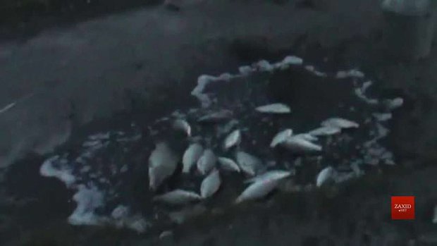 Депутат Львівської облради спіймав на браконьєрстві двох поліцейських