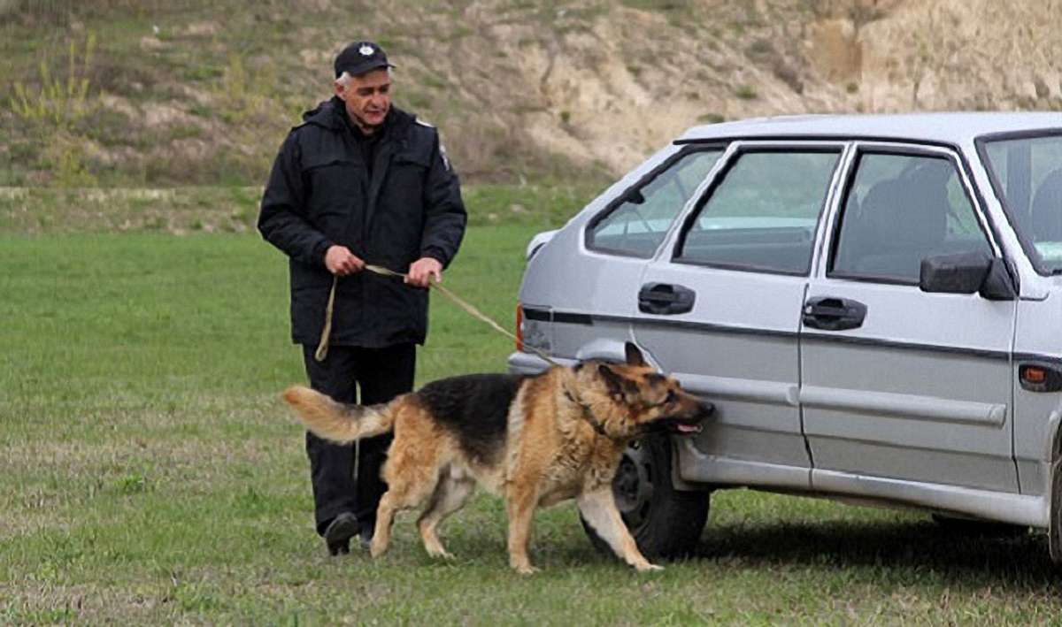 Нацполіція збудує у Львові розплідник для службових собак