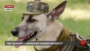 До Львова повернулася собака Лада, яка з господарями об’їздила вже 14 країн світу