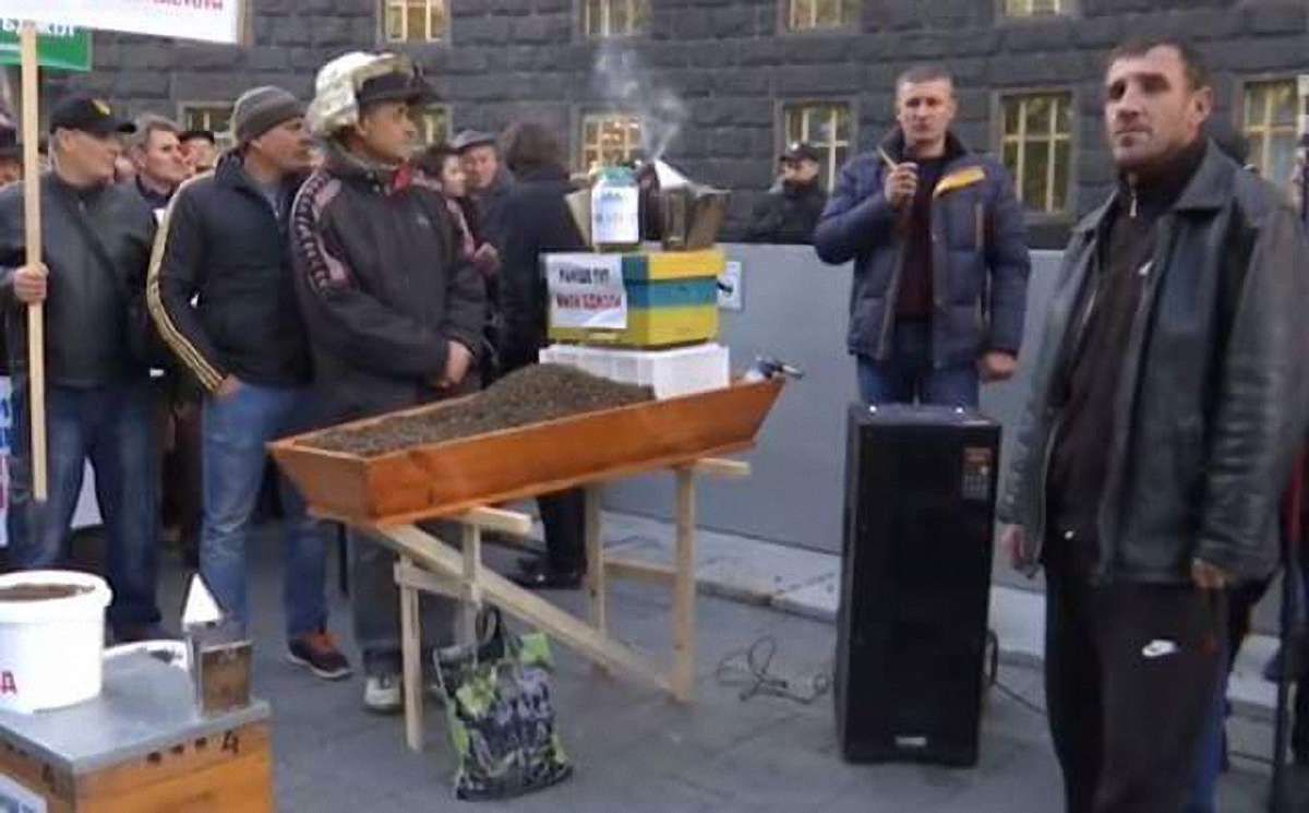 Пасічники принесли під Кабмін бджолину труну через масову загибель комах