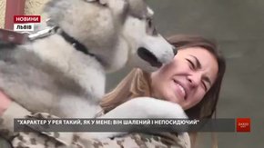 Військові фотографувалися з безпритульними собаками для настінного календаря ЛКП «Лев» 
