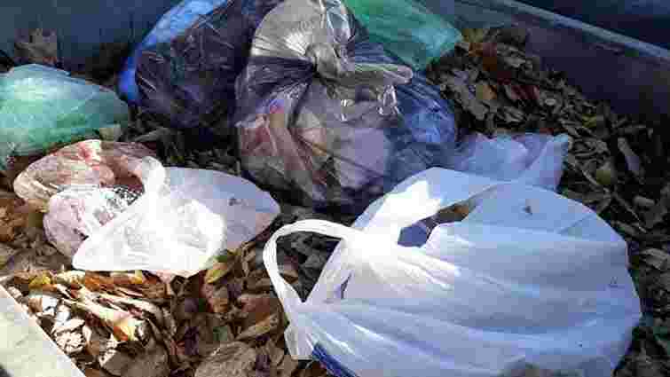 Львівським двірникам заборонили викидати листя у сміттєві контейнери