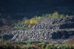 ЄБРР оголосить міжнародний тендер на рекультивацію Грибовицького сміттєзвалища