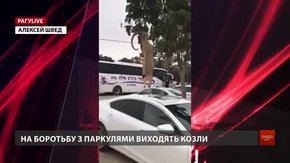 РАГУlive. Випуск за 30 жовтня