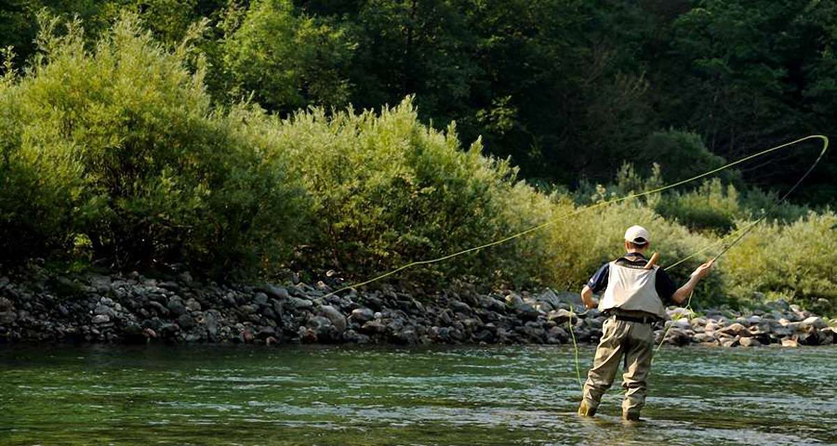   У жовтні у трьох мещканців Львівщини діагностували лептоспіроз
