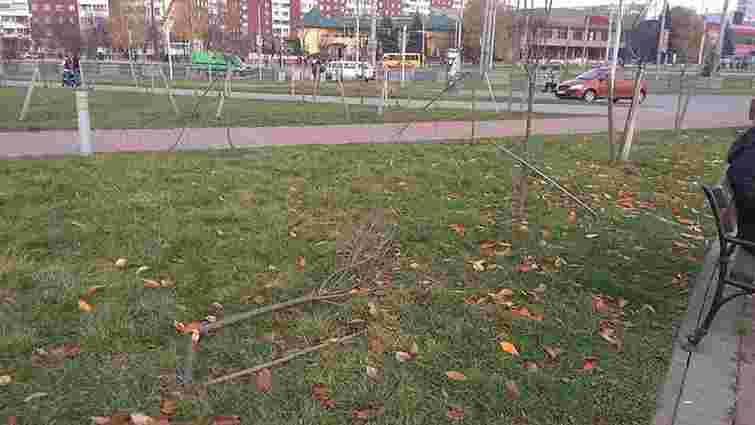 У парку Івана Павла II на Сихові вандали зламали 32 дерева