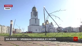 Завдані збитки у парку Івана Павла ІІ оцінюють у понад 150 тис. грн