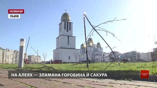 Завдані збитки у парку Івана Павла ІІ оцінюють у понад 150 тис. грн
