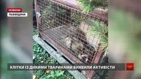 Поблизу Львова викрили станцію притравки диких тварин