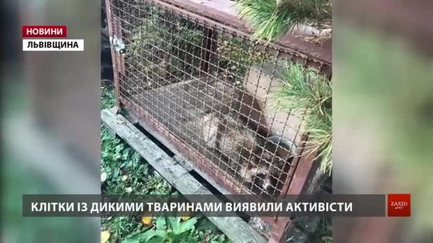 Поблизу Львова викрили станцію притравки диких тварин