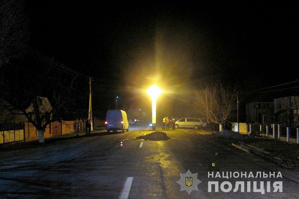 На Буковині автомобіль збив підводу із конем, є жертви