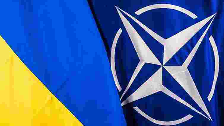 НАТО не визнає «вибори» на окупованих територіях Донбасу