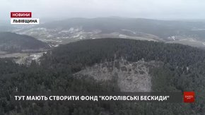 Браконьєри вирубують ліс на території майбутнього національного парку. Відео з дрона